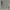 ZARA Luxury Going out dress Wanita multicolor photo 1