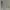 ZARA Luxury Going Out Dress Wanita Multicolor
