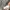 ZARA Luxury Going out dress Wanita multicolor photo 4