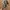 Streetwear Casual Sneakers Pria gray photo 1