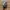 Streetwear Casual Sneakers Pria gray photo 4