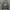 Abercrombie & Fitch Vintage Sweater Pria Gray
