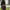 Muslim Baju muslim Wanita black photo 2