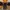Dickies Vintage Streetwear Pria black photo 4