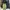 Vintage Streetwear Casual pants Pria green photo 1
