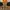 Carhartt Vintage Streetwear Dungaree Pria tan khaki photo 4