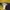 Reebok Sportswear Sweatpants & Joggers Wanita navy yellow photo 6