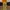 Carhartt Vintage Streetwear Dungaree Pria tan yellow photo 3