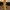 Carhartt Vintage Streetwear Dungaree Pria tan yellow photo 5