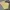 Carhartt Vintage Streetwear Dungaree Pria tan yellow photo 1