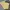 Carhartt Vintage Streetwear Dungaree Pria Tan Yellow
