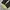 Vintage Streetwear Jeans Pria black photo 7