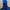 Adidas Gorpcore Windbreaker Pria blue photo 1