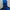 Adidas Gorpcore Windbreaker Pria Blue