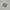 Adidas Casual Sneakers Wanita gray photo 1