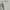 Anders Streetwear Casual Casual shirt Pria white black photo 1
