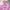 Ellesse Vintage Puffer jacket Pria pink photo 2