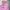 Ellesse Vintage Puffer jacket Pria pink photo 3