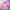 Ellesse Vintage Puffer jacket Pria pink photo 5