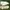 Alexander McQueen Streetwear Y2K Sneakers Pria white cream photo 2