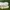 Alexander McQueen Streetwear Y2K Sneakers Pria white cream photo 3