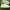 Alexander McQueen Streetwear Y2K Sneakers Pria white cream photo 5