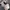Adidas Sportswear Casual Sneakers Pria cream photo 4
