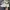 Adidas Sportswear Casual Sneakers Pria cream photo 1