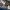 Adidas Sportswear Casual Sneakers Pria cream photo 3