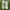 Nike Streetwear Skater Sneakers Pria tan gray photo 2
