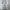 Luxury Babydoll dress Wanita blue photo 1