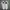 Nike Casual Sneakers Pria white photo 2