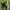 Adidas Streetwear Y2K Sneakers Pria black photo 1