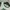 Nike Casual Casual shirt Pria white green photo 2