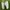 Nike Streetwear Y2K Sneakers Pria white gray photo 1