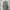 Casual Baju muslim Wanita green photo 1