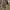 Gucci Luxury Casual Shoulder bag Wanita tan brown photo 7