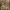 Gucci Luxury Casual Shoulder bag Wanita tan brown photo 1
