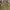Gucci Luxury Casual Shoulder bag Wanita tan brown photo 8