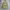 Prada Gorpcore Windbreaker Wanita khaki photo 4