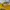 Vintage Streetwear T-shirt Pria yellow photo 5