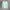 Topshop Cosplay Sweater Wanita green photo 1