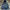 Carhartt Vintage Hoody Pria blue photo 1