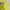Pancoat Streetwear Sweater Pria yellow photo 3