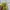 Pancoat Streetwear Sweater Pria yellow photo 8