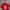 Reebok Y2K Jersey Pria red photo 3