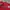 Reebok Y2K Jersey Pria red photo 6