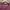 Vintage Cardigan Wanita burgundy photo 3