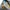 Streetwear Skater Jeans Pria white blue photo 6