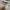 Chloé Vintage Goth Casual pants Pria white photo 4